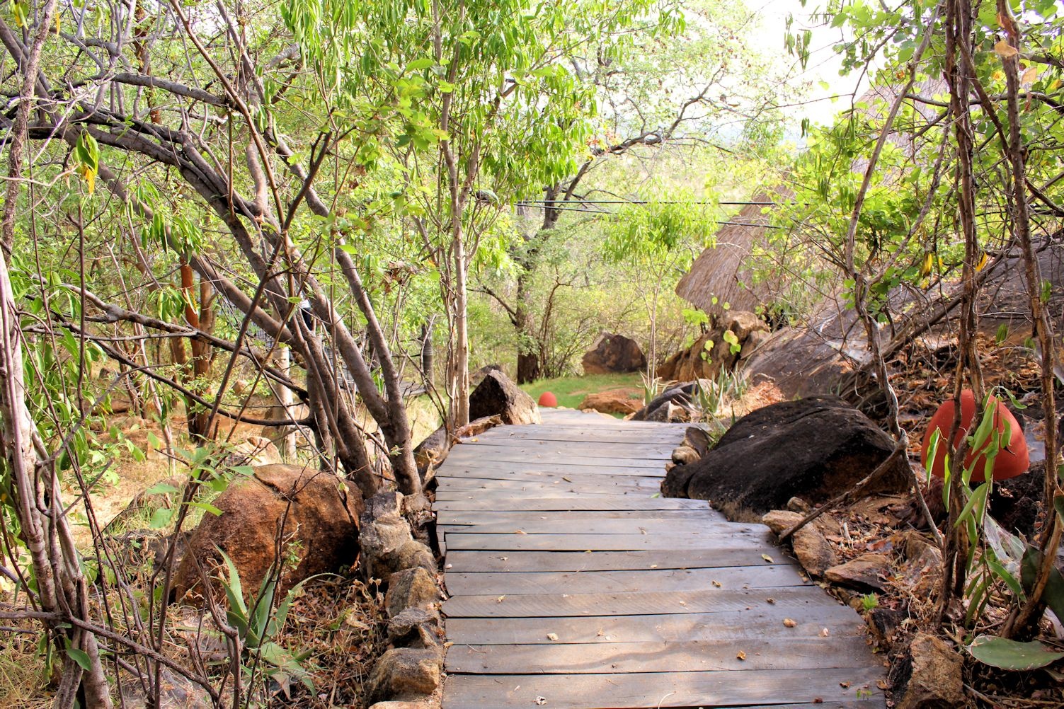Elsa Kopje, Meru National Park — image 28 of 30